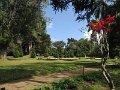 F (26) Victoria gardens, Nuwara Eliya
